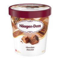 Häagen-Dazs Chocolate Ice Cream — 450 mL