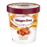 Häagen-Dazs Salted Caramel Ice Cream — 450 mL