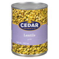 Cedar Phoenicia Canned Lentils — 540 mL