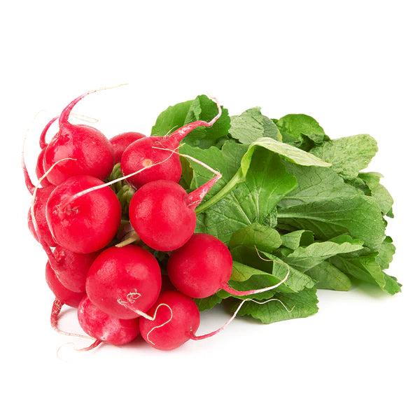 Fresh Radishes