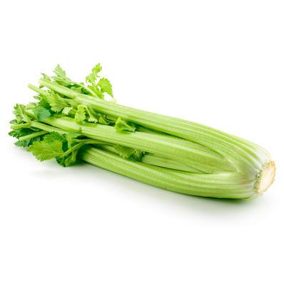 Fresh Celery