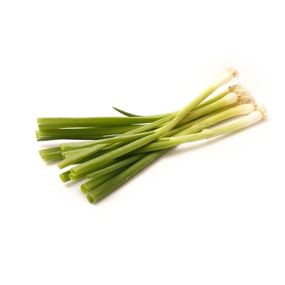 Fresh Green Onions