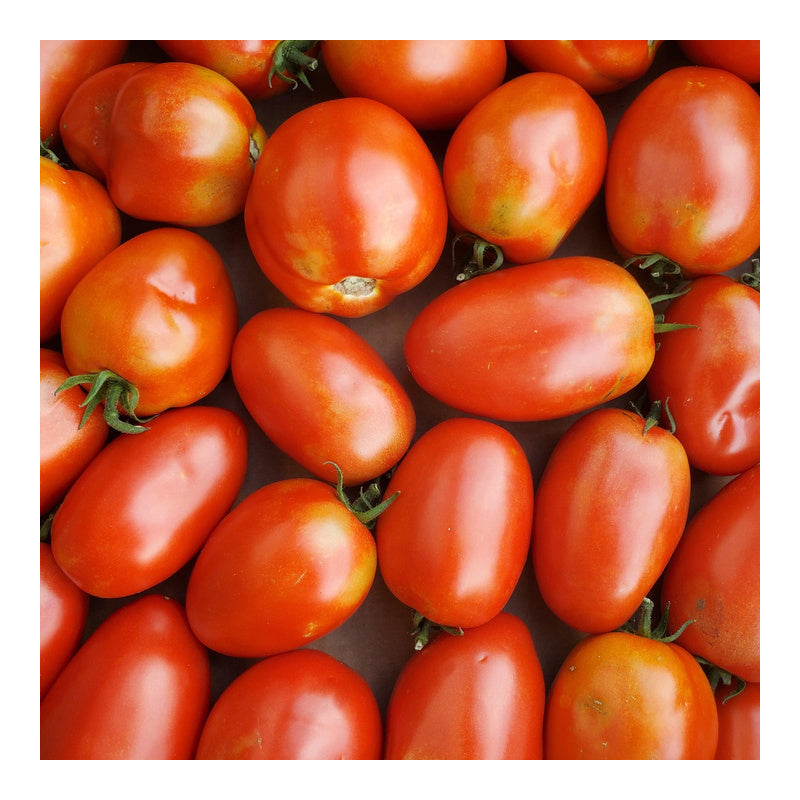Roma Tomatoes