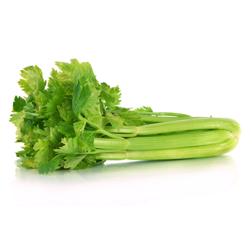 Fresh Celery