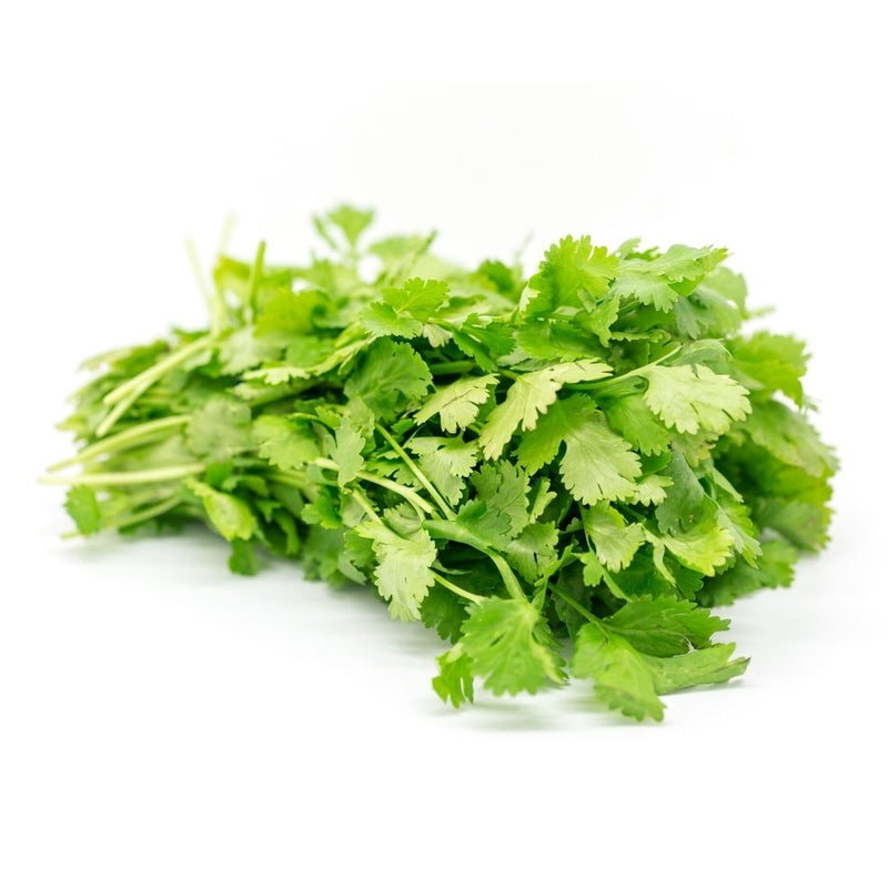 Fresh Cilantro