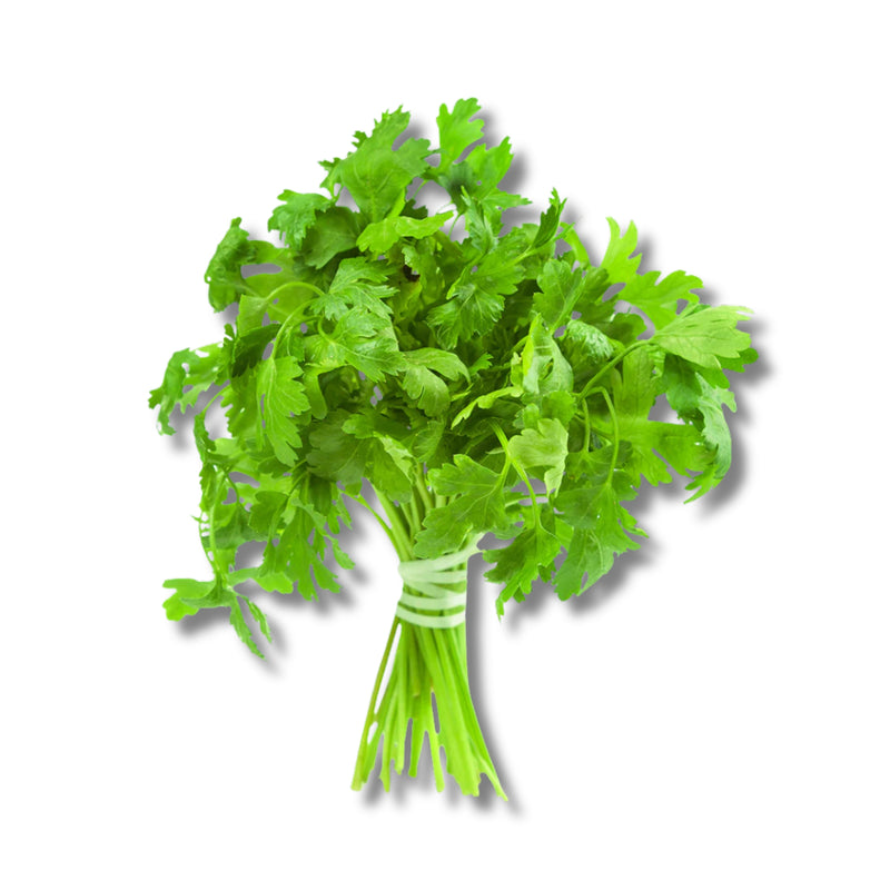Fresh Parsley
