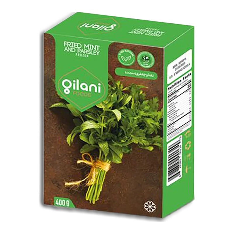 Gilani Frozen Fried Mint & Parsley – 400 g