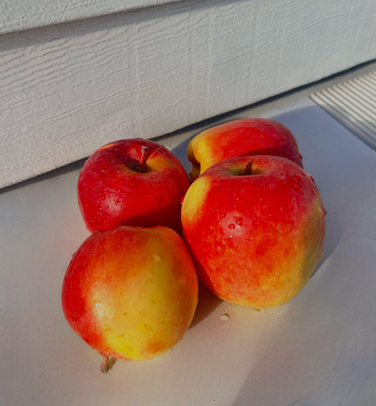 Ambrosia Apples